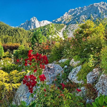 Pension Stoffenbauer Ramsau am Dachstein Exterior foto