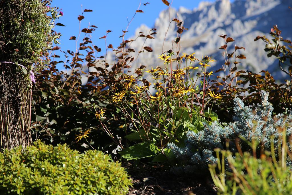 Pension Stoffenbauer Ramsau am Dachstein Exterior foto